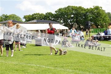 181564_kar_01__62_6936.JPG