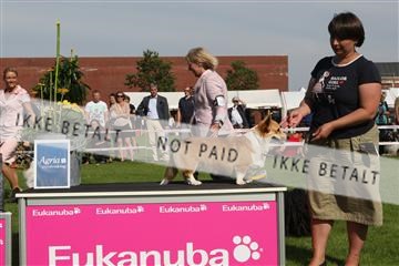130370_se_02_IMG_6562.JPG