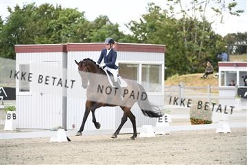 166078_kuo_02_D05_8666.JPG