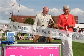 130370_se_03_IMG_7729.JPG