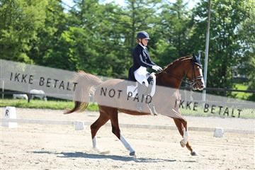 168732_mtp_01_3M5A7225.JPG
