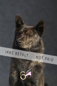 132082_le_ 01_IMG_0131.JPG