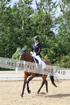 156196_nn_01_IMG_6190.JPG