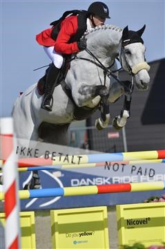 139644_abo_02__AB14573.JPG