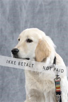 128239_le_ 06_0008.JPG