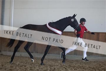 181756_mtp_01_R62_1686.JPG
