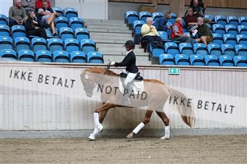 181887_mtp_04_R62_8247.JPG
