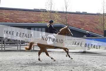 181332_kbb_02_6II5822.JPG