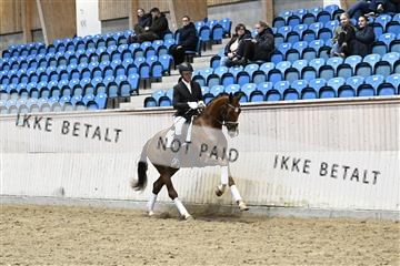 182241_kbb_01_Z093478.JPG