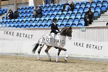 182241_kbb_01_Z093175.JPG
