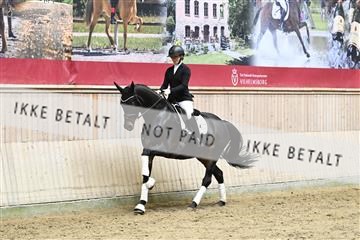182241_kbb_01_Z094302.JPG