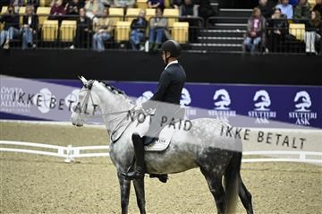 182194_kbb_02_Z099115.JPG
