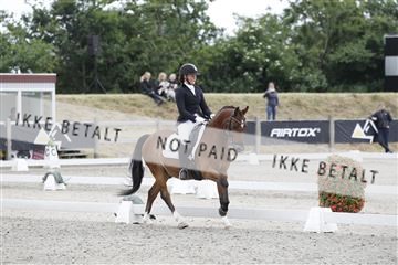 166078_rhj_01__J7R3460.JPG