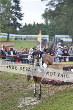 144462_bc_22__BC16257.JPG
