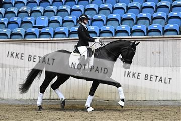 182241_kbb_01_Z094796.JPG