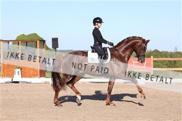 181449_bc_01R62_6379.JPG