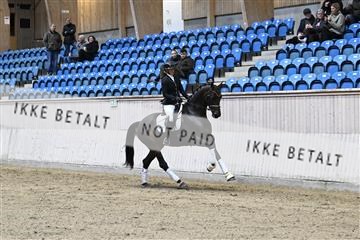 182241_kbb_01_Z094220.JPG