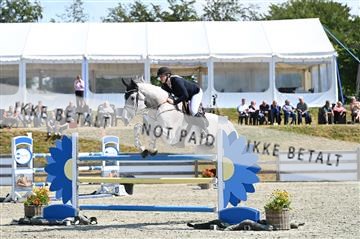 AKL_5484.JPG
