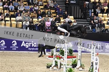 182194_kbb_02_Z099643.JPG