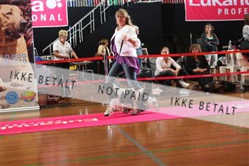 6068_ma_05_IMG_5640.JPG