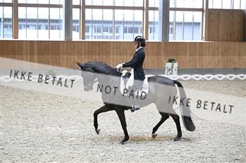 182176_kbb_01_Z094063.JPG