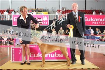 6068_ma_07_IMG_6724.JPG