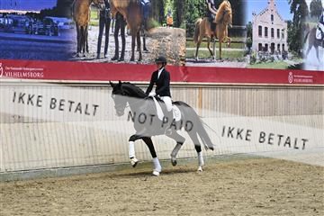 182241_kbb_01_Z094748.JPG