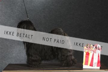 132082_le_ 01_IMG_1529.JPG