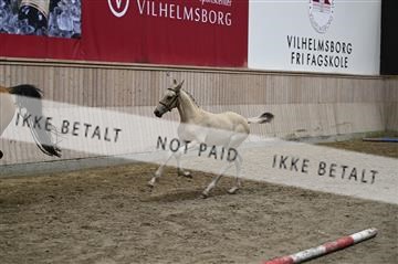 181754_kbb_01_Z093342.JPG