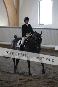 139267_kl_1_8M1Q6752.JPG