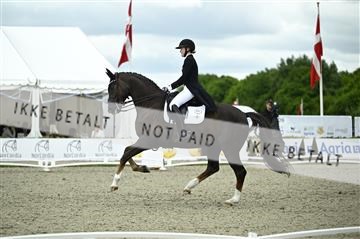181449_kbb_03_Z090680.JPG