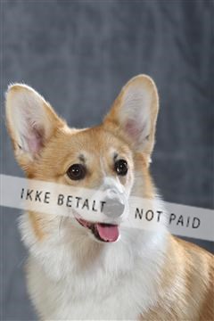 130054_le_ 01_0312.JPG