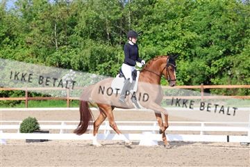 181449_bc_01R62_6581.JPG
