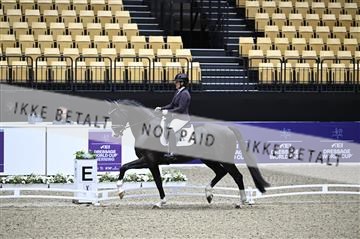 182194_kbb_01_Z095745.JPG