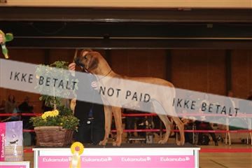 124188 _tl_02_IMG_9561.JPG