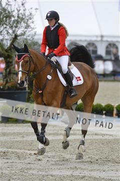 139644_abo_08__AB16076.JPG
