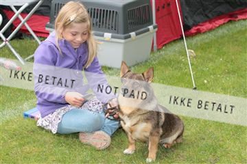 130370_tl_01_IMG_7049.JPG