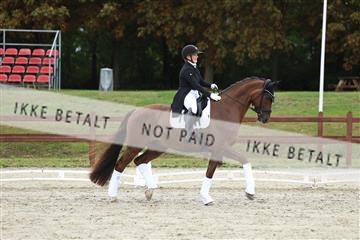 181923_mtp_03_R62_7939.JPG