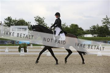 156196_nn_01_IMG_5178.JPG
