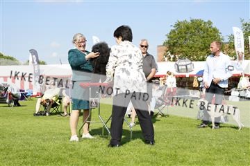 181564_kar_01__62_7368.JPG