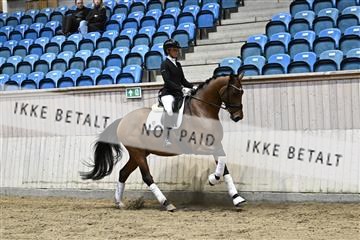 182241_kbb_01_Z093077.JPG