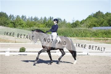 181449_kbb_01_6II8764.JPG