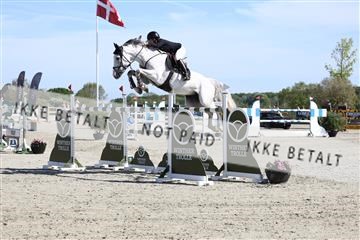 181436_avh_02_3581.JPG