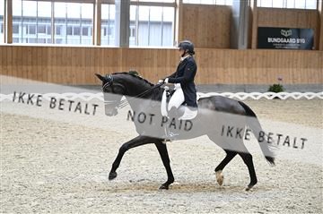 182176_kbb_01_Z094040.JPG