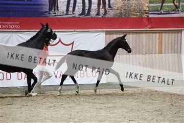 181957_mtp_08_R62_5656.JPG