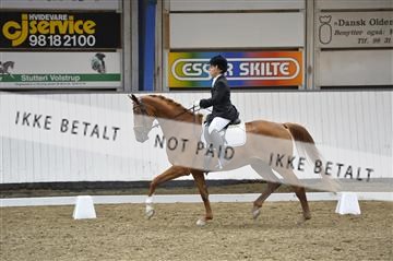 140040_abo_02__AB19067.JPG