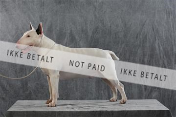 128239_le_kort_ 01_0268.JPG