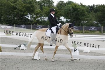 166078_rhj_01__J7R2146.JPG