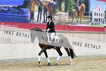 182241_kbb_01_Z093243.JPG