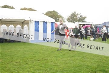 182009_kar_01__62_5742.JPG